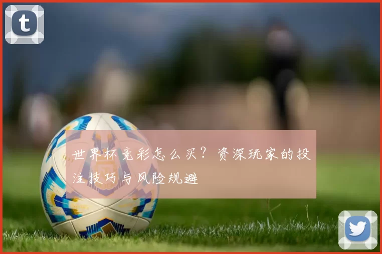 世界杯竞彩怎么买？资深玩家的投注技巧与风险规避