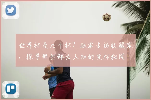 世界杯是几个杯？独家专访收藏家，探寻那些鲜为人知的奖杯秘闻