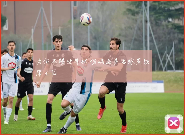 为何不踢世界杯 伤病成多名球星缺席主因