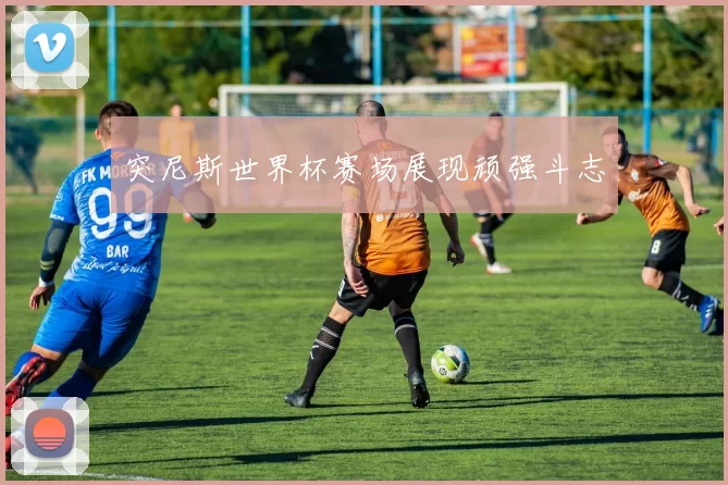 突尼斯世界杯赛场展现顽强斗志