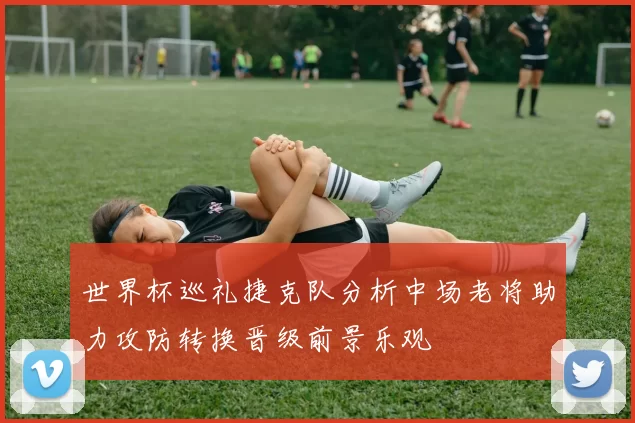 世界杯巡礼捷克队分析中场老将助力攻防转换晋级前景乐观