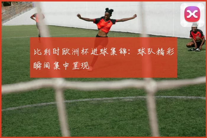 比利时欧洲杯进球集锦:球队精彩瞬间集中呈现