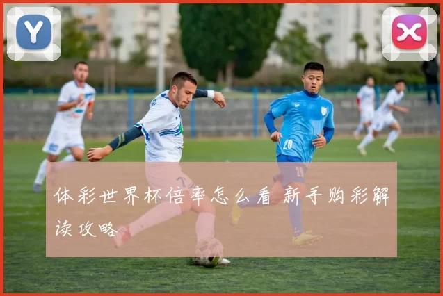 体彩世界杯倍率怎么看 新手购彩解读攻略