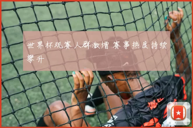 世界杯观赛人群激增 赛事热度持续攀升