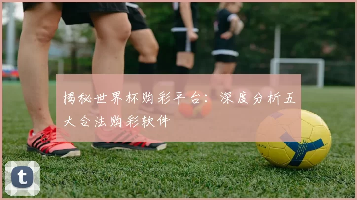 揭秘世界杯购彩平台：深度分析五大合法购彩软件