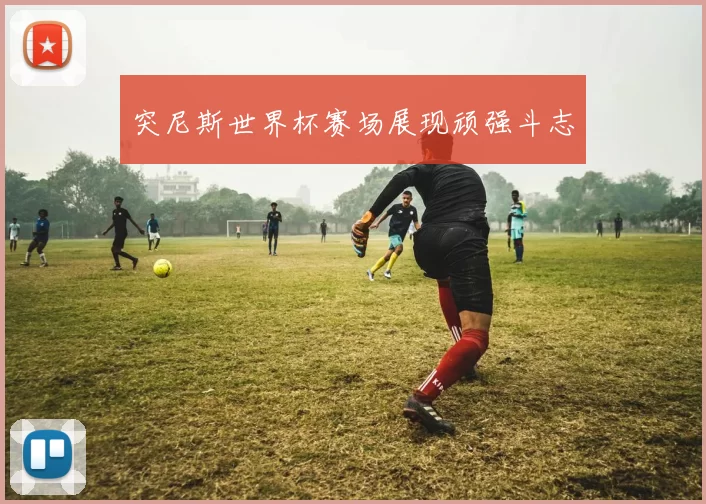 突尼斯世界杯赛场展现顽强斗志