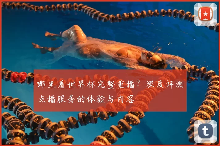 哪里看世界杯完整重播？深度评测点播服务的体验与内容