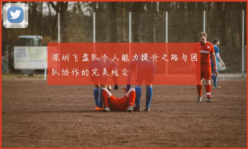 深圳飞盘队个人能力提升之路与团队协作的完美结合