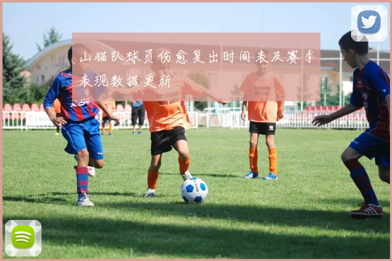 山猫队球员伤愈复出时间表及赛季表现数据更新